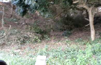 Imagem 5: Terreno na Siriúba com 1.200m² em Ilhabela