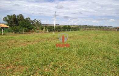 Imagem 5: Fazenda à venda 53 Alqueires por R$ 6.890.000 - Sandovalina/São Paulo