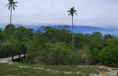 Imagem 8: Área para Venda em Santa Cruz Cabrália, guaiu