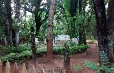 Imagem: Excelente Chácara