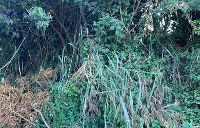 Imagem 3: Terreno à venda, 565 m² por R$ 75.000,00 - Araçatiba - Maricá/RJ