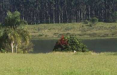 Imagem 12: Fazenda à venda, 1597200 m² por R$ 14.000.000,00 - Paranapanema - Paranapanema/SP