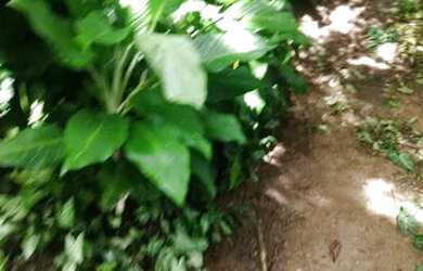 Imagem: O terreno possui 479m² de Área e está localizado em Flamengo