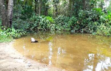 Imagem: O terreno possui 150.000m² de Área e está localizado em