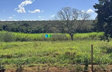 Imagem: A fazenda possui 100m² de Área e está localizado em Tomás