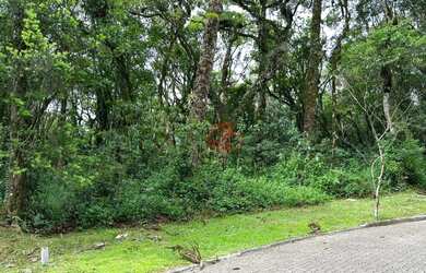 Imagem 3: Terreno à Venda em Canela