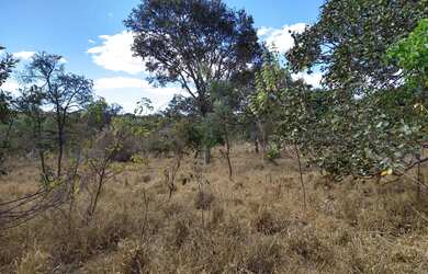 Imagem 5: 11.000 M2 BR 135 Acesso ao Pentáurea