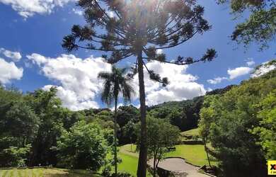 Imagem 12: Sítio / Chácara para Venda em Nova Petrópolis, Nove Colonias, 5 dormitórios,...