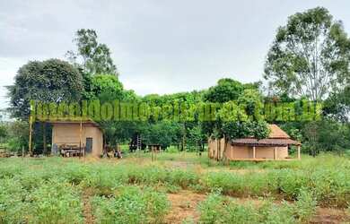 Imagem 2: Fazenda 20,0 alqueires em soja, ribeirão, Monte Alegre de Minas MG