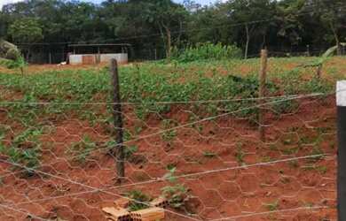 Imagem 10: Chácara 7.300 metros valor 700.000 em unai mg
