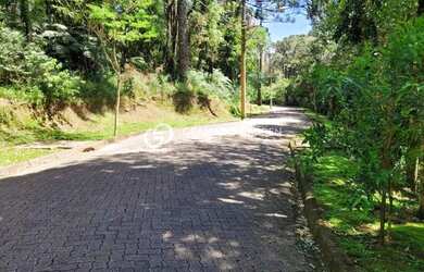 Imagem 11: TERRENO EM CONDOMINIO FECHADO EM CANELA