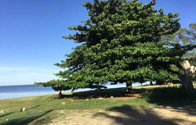 Imagem: A casa possui 2 Dormitórios, Acomodam 10 pessoas, 1 Vaga na