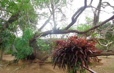 Imagem 16: Terreno à venda, 1902 m² por R$ 570.000,00 - Condomínio Ville de Chamonix...