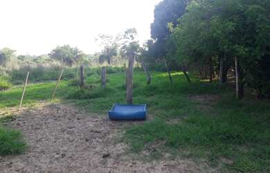 Imagem 7: Sítio para venda na Jangada Roncador