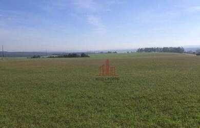 Imagem 7: Fazenda à venda, 1597200 m² por R$ 14.000.000,00 - Paranapanema - Paranapanema/SP