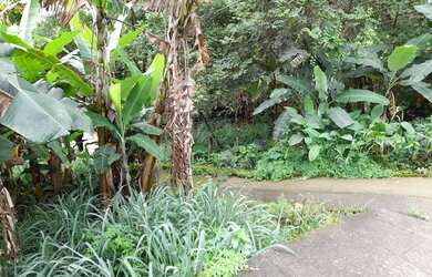 Imagem 14: Terreno a 60 Passos da Areia da Praia Grande em Ilhabela