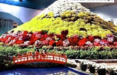 Imagem 12: Casa à venda no Condomínio Figueira Garden - Atibaia/SP