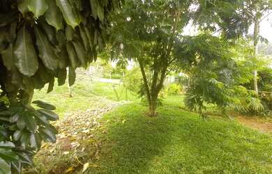 Imagem 6: Casa à venda no Condomínio Jardim das Palmeiras em Bragança Paulista...