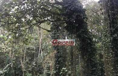 Imagem 3: Terreno à venda, 985 m² por R$ 320.000,00 - Condomínio Arujazinho I,...