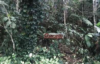 Imagem 4: Terreno à venda, 985 m² por R$ 320.000,00 - Condomínio Arujazinho I,...