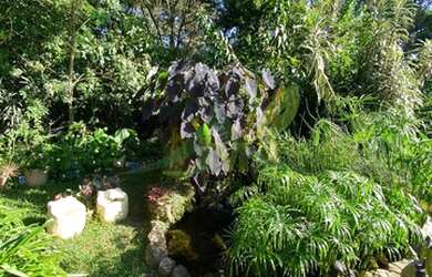 Imagem 16: Linda chácara à venda em condomínio cercado pela natureza