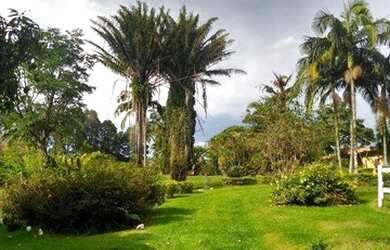 Imagem 1: Sítio rural à venda, Sitios Farm, Porto Feliz