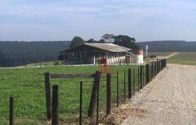 Imagem 1: Fazenda à venda, 1597200 m² por R$ 14.000.000,00 - Paranapanema - Paranapanema/SP