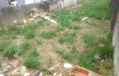 Imagem 5: Caraguatatuba - Terreno Padrão - Praia das Palmeiras