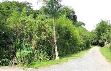 Imagem 3: Terreno à venda, 5324 m² por R$ 468.000,00 - Granja Viana - Cotia/SP