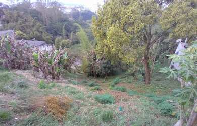 Imagem: O terreno possui 280m² de Área e está localizado em Colônia