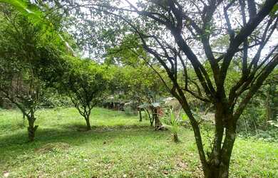 Imagem 15: Casinha de sitio na praia