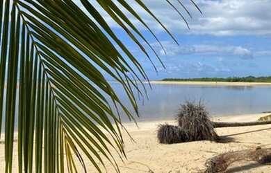 Imagem 15: Vendo linda casa de charme em Porto de Pedras em Tatuamunha