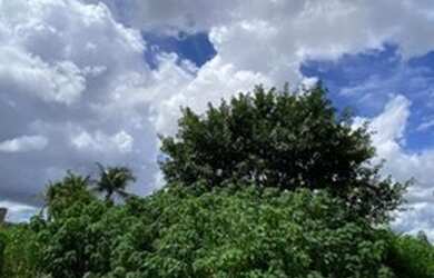 Imagem: O terreno possui 250m² de Área e está localizado em Flores