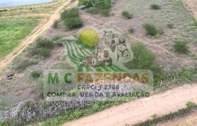 Imagem: A fazenda possui 4.400.000m² de Área e está localizado em