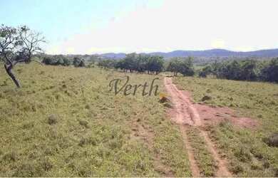 Imagem 8: Fazenda em Unaí - Minas Gerais, à venda com 537ha - Dupla Aptidão