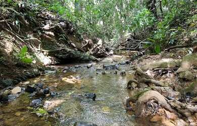 Imagem: O terreno e está localizado em Jaboticatubas, MG à venda por