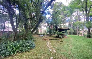 Imagem 14: Area - Bairro Vila Luiza