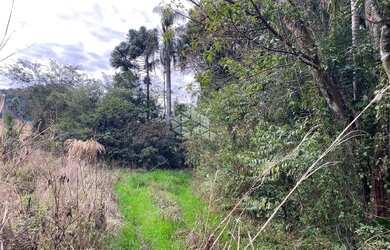 Imagem 8: Chácara com casa e ótimo aproveitamento