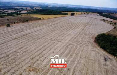 Imagem: FAZENDINHA PRODUTIVA COM 11 ALQUEIRES PROXIMO A GOIANIA
