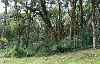 Imagem: O terreno possui 783m² de Área e está localizado em Canela