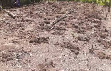 Imagem 5: Vende-se terreno Para sítio em Aruja