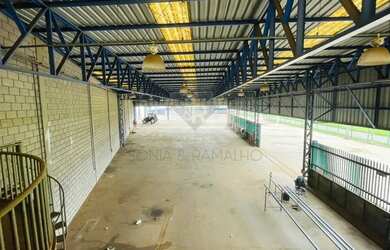 Imagem 10: Imóveis Comerciais Galpão Comercial em Ribeirão Preto