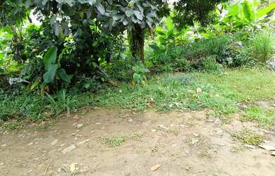 Imagem 11: Terreno a 60 Passos da Areia da Praia Grande em Ilhabela