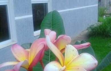 Imagem 8: Casa em Condomínio para Venda em Cajamar, Colina Maria Luíza Jordanésia...