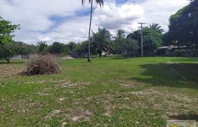 Imagem 11: Área para Venda em Santa Cruz Cabrália, guaiu