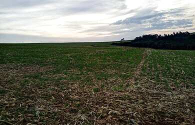 Imagem 13: Linda fazenda na agricultura em Taquarituba - SP
