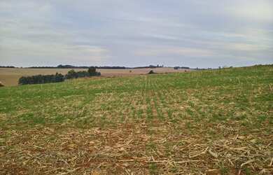 Imagem 10: Linda fazenda na agricultura em Taquarituba - SP