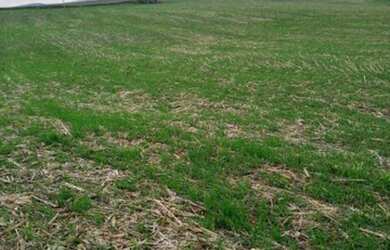 Imagem 3: Linda fazenda na agricultura em Taquarituba - SP