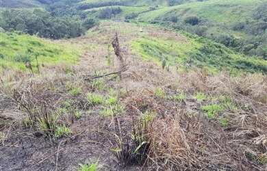 Imagem: A fazenda possui 3.833.545m² de Área e está localizado em