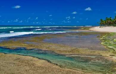 Imagem 11: Terreno 630m² no Piscinas Naturais em Praia do Forte R$ 1.550.000,00